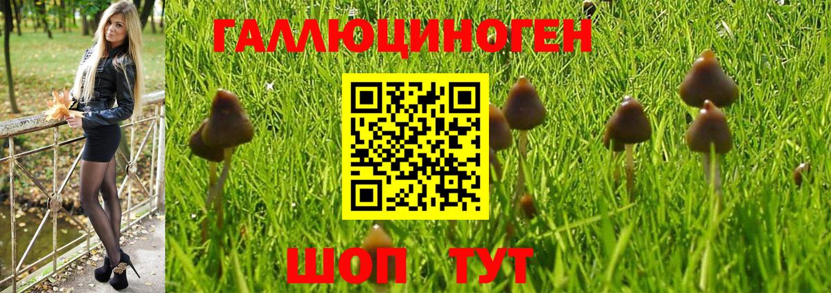 Галлюциногенные грибы Magic Shrooms Аша