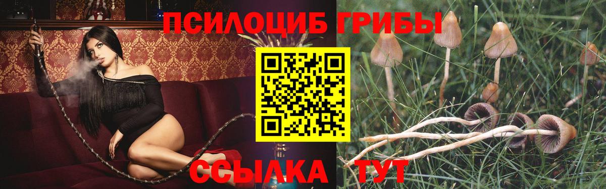 Псилоцибиновые грибы Magic Shrooms  Вход с VPN  Аша 